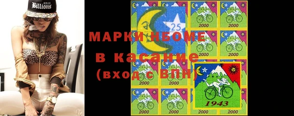 твердый Аркадак